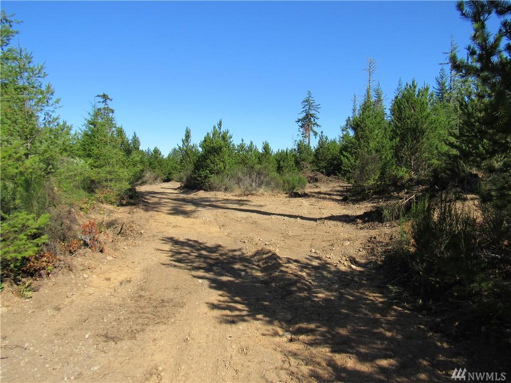 188-acres Old Camp Sundown Rd - Photo 1