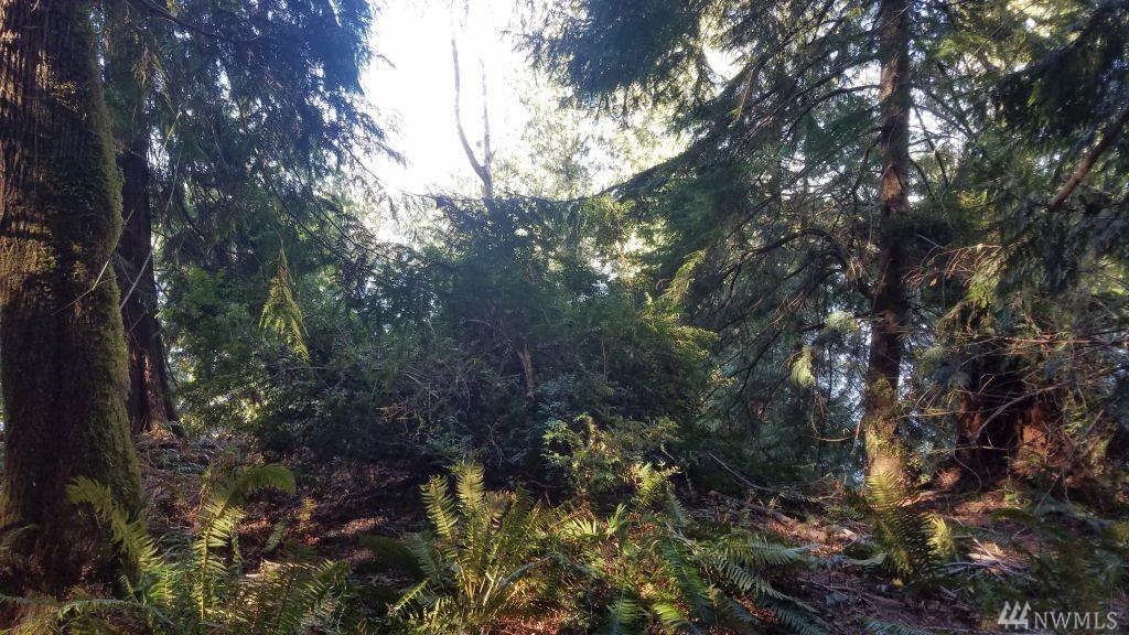 711 Passage View Rd - Photo 1