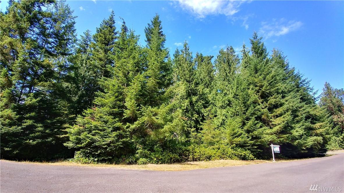 999 Antler Ct - Photo 1