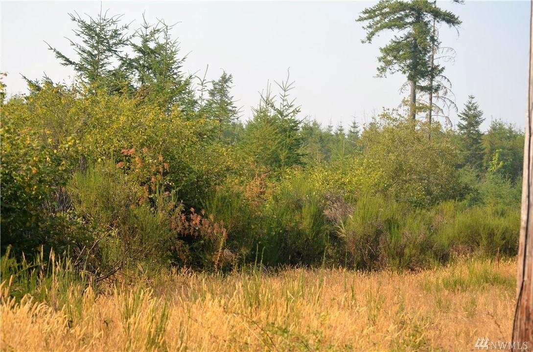 0 Satsop Maple Glen Dr - Photo 1