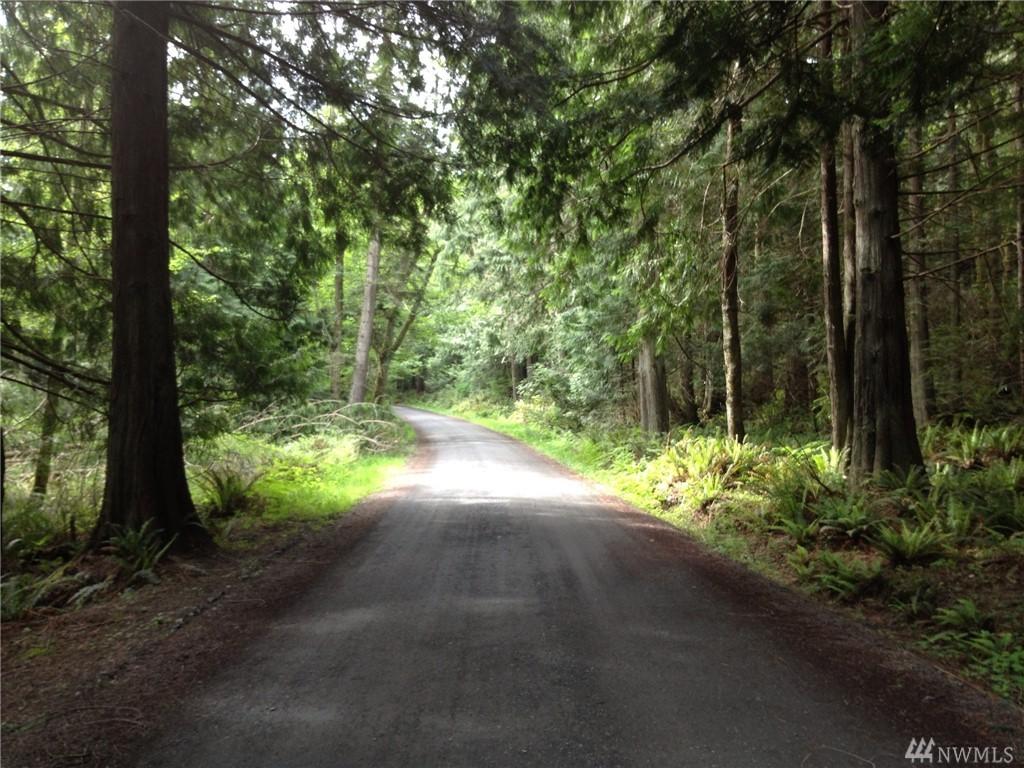 0 Taggart Quarry Rd - Photo 1