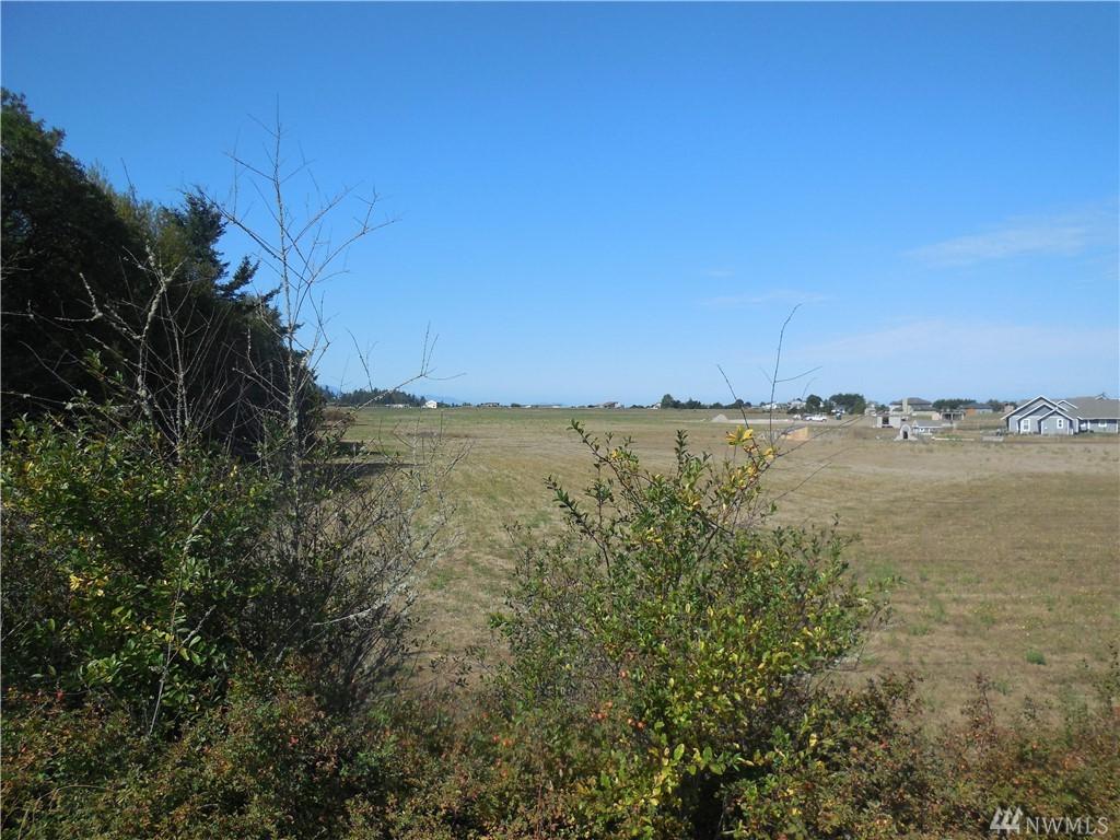 99999 Roberson Rd - Photo 1