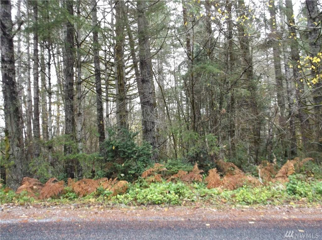 60-lot Tahuya River Rd - Photo 1
