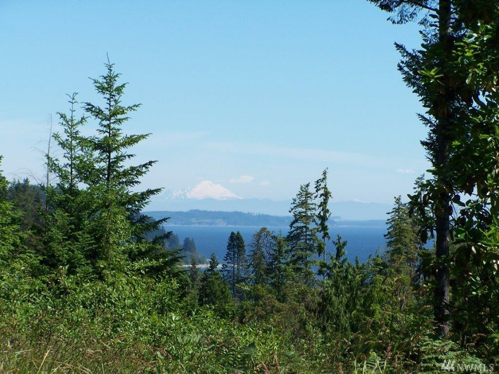 0-lot 18 Go Onna Rd - Photo 1