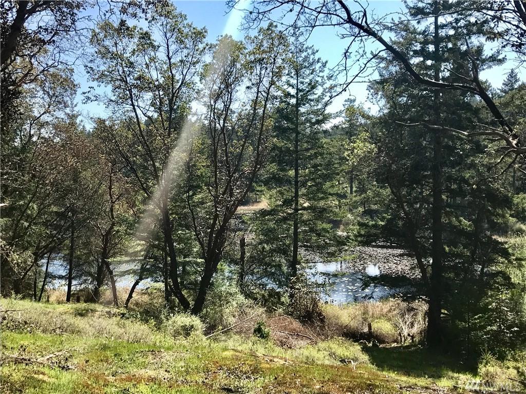 374 Wai Mala Lane - Photo 1