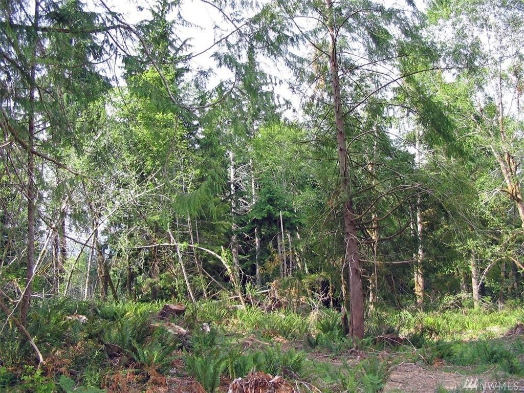 1-Lot Greenleaf Lane - Photo 1