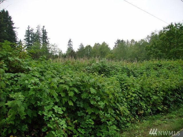 109-XX Holly Lane - Photo 1