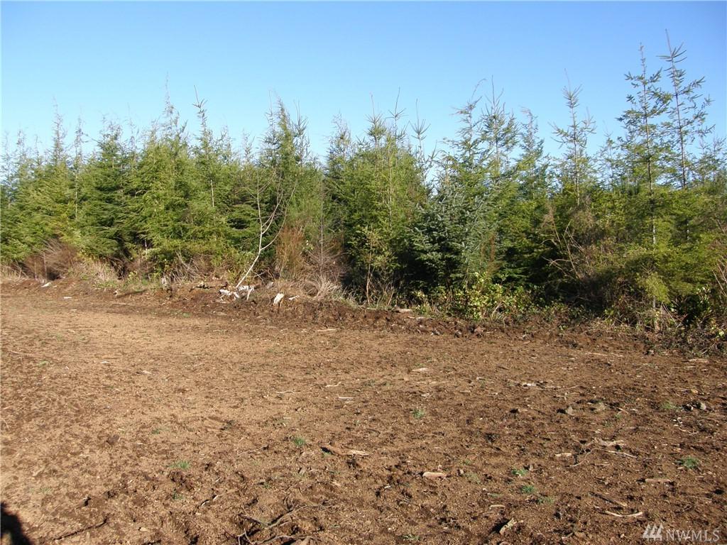 33 Arboretum Lane - Photo 1