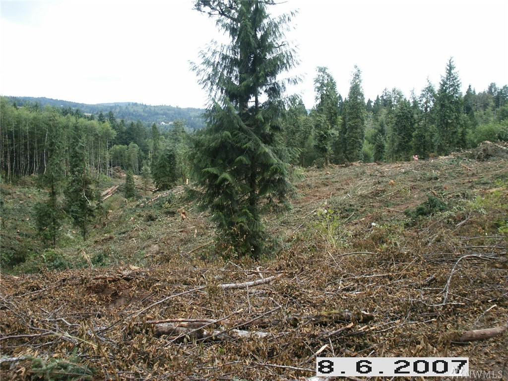 0 Maple Hill Rd - Photo 1