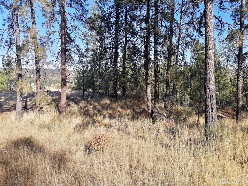 0 Winterwood Lane - Photo 1