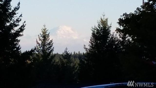 330-E Rainier Ct - Photo 1