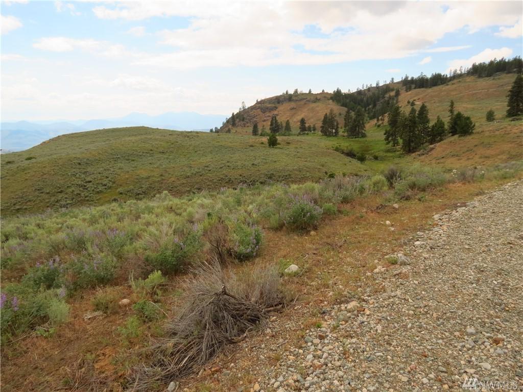 0 Blue Grouse Rd - Photo 1