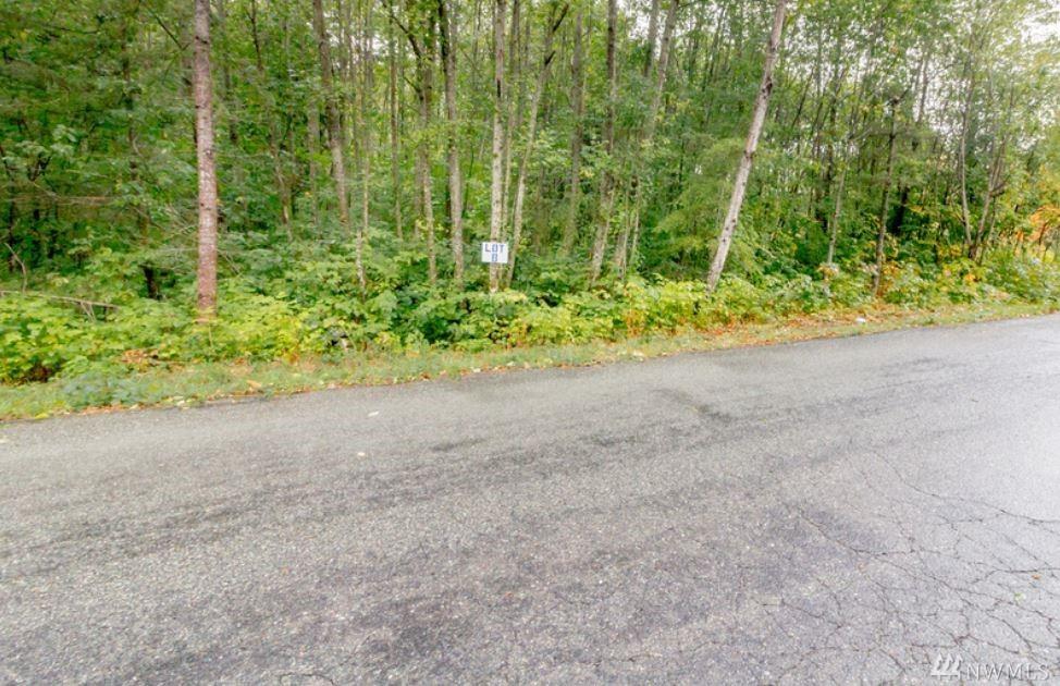 10125 350th Ave - Photo 1