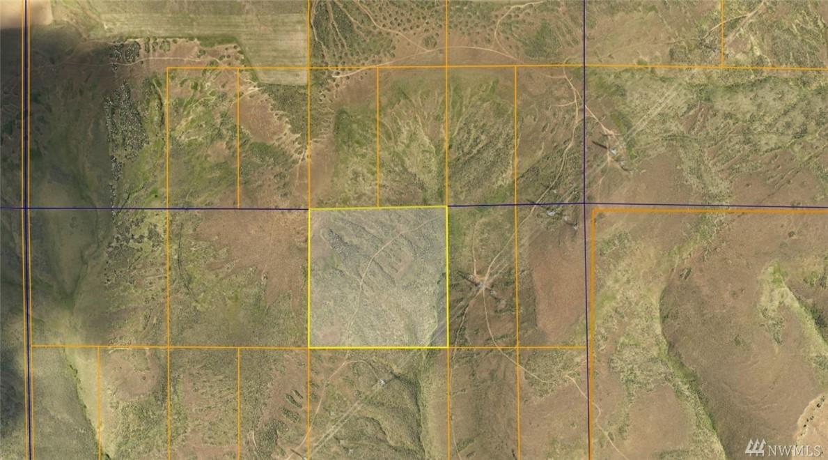 0 40 Acres Undeveloped Land - Photo 1