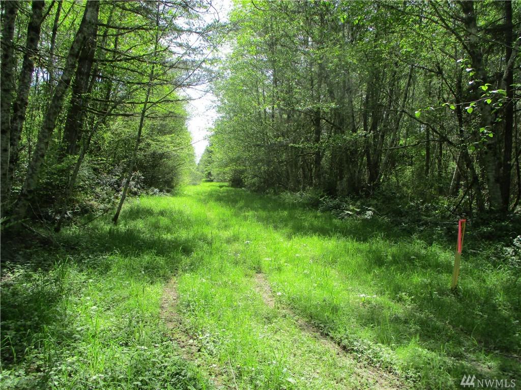 2041 Rasor Rd - Photo 1
