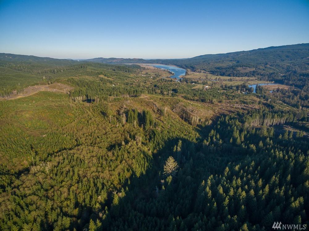 0 Dell Creek Rd - Photo 1