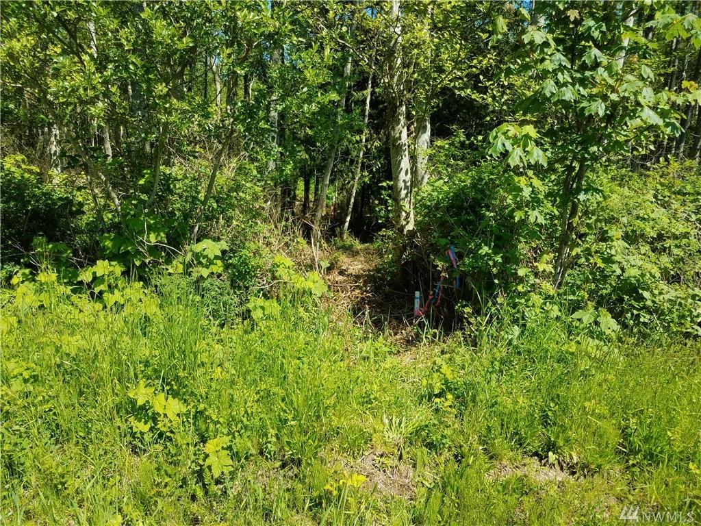 0 Halloran Rd - Photo 1