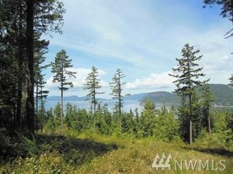 0-T-10 Thatcher Pass Rd - Photo 1