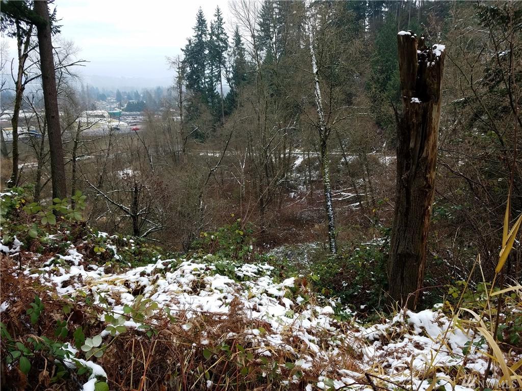 36523 Valley Hwy - Photo 1