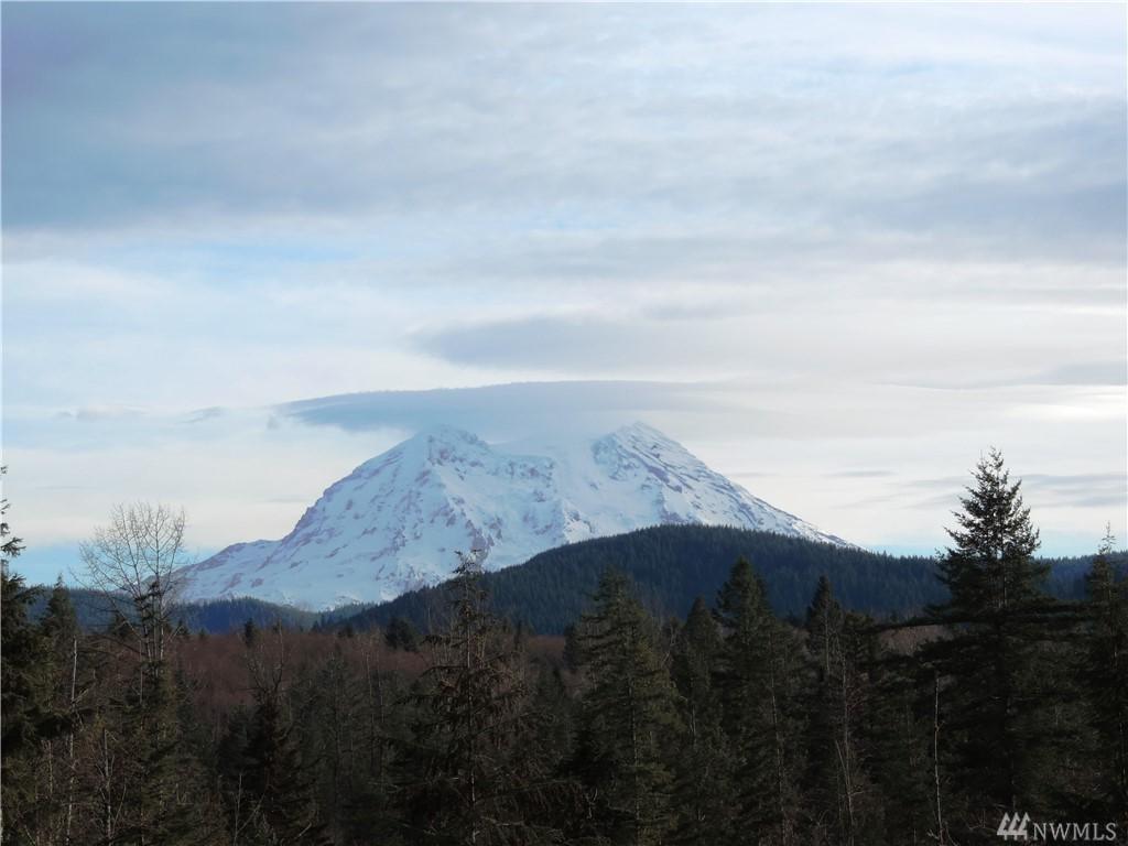 111 Alder Cut Off Rd - Photo 1