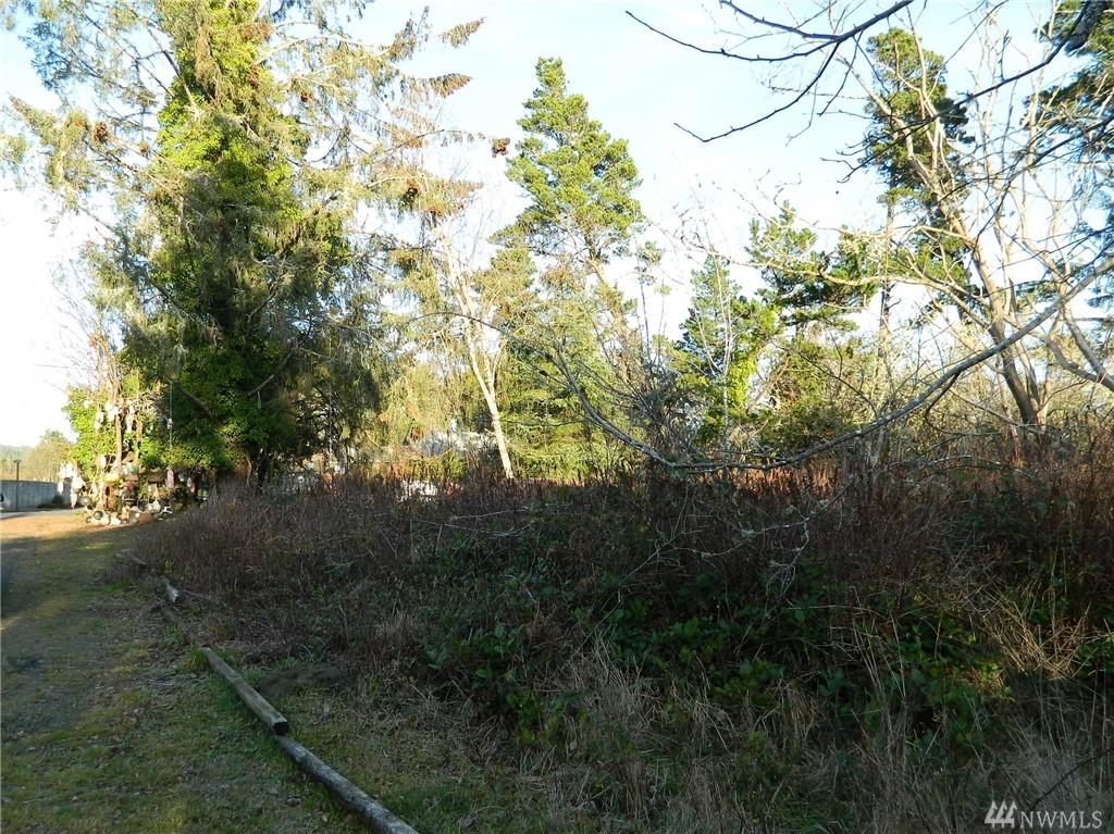 9999 Tokeland Rd - Photo 1