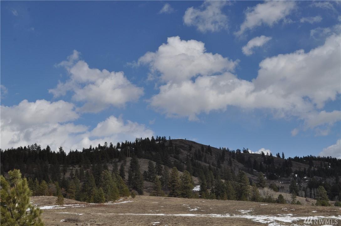1-XXX Highway 21 - Photo 1
