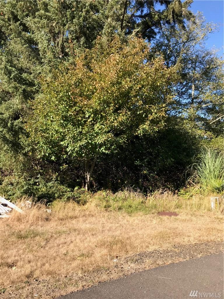 806 Scoter Ct - Photo 1
