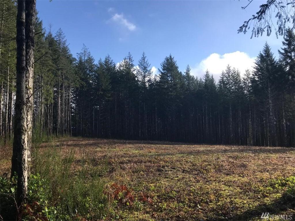 410 Delanty Rd - Photo 1