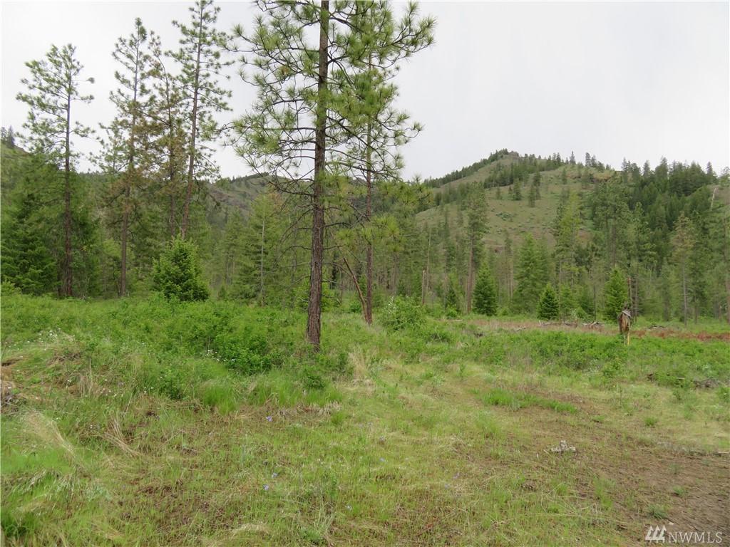 0-North San Poil Rd - Photo 1