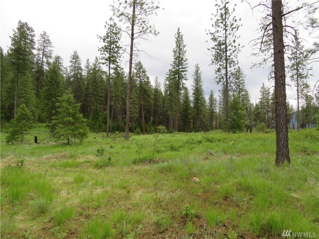 0-South San Poil Rd - Photo 1