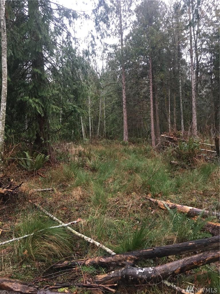 413 Gybe Ho Rd - Photo 1