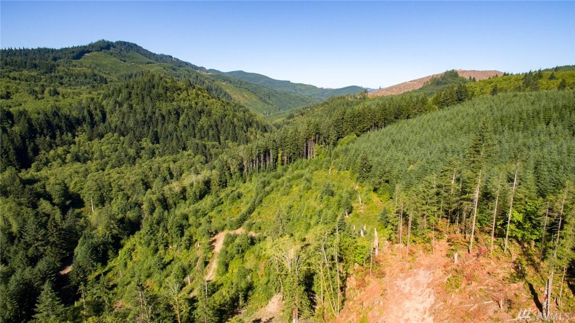 0 Dubois Rd - Photo 1