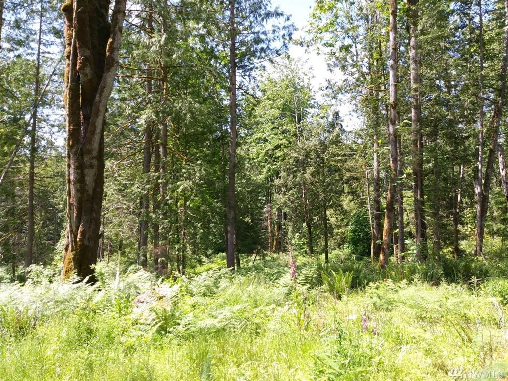 2 Y Rd - Photo 1