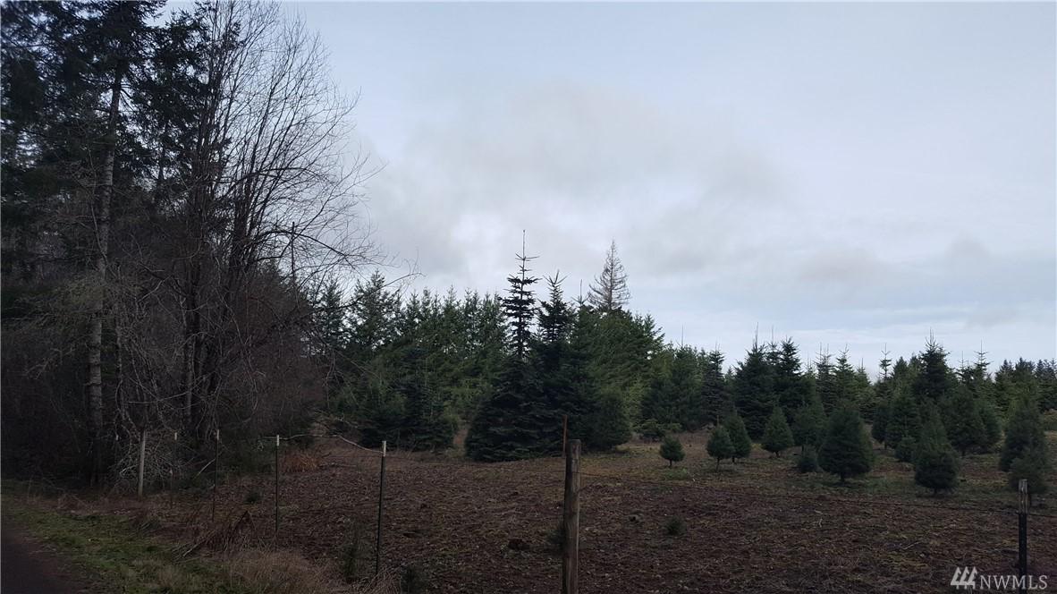 4-Lot Phillips Rd - Photo 1