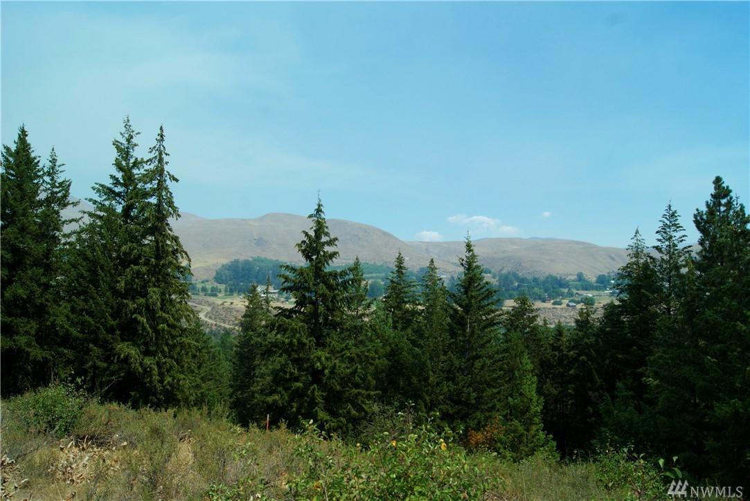 0 Poorman Creek Rd - Photo 1