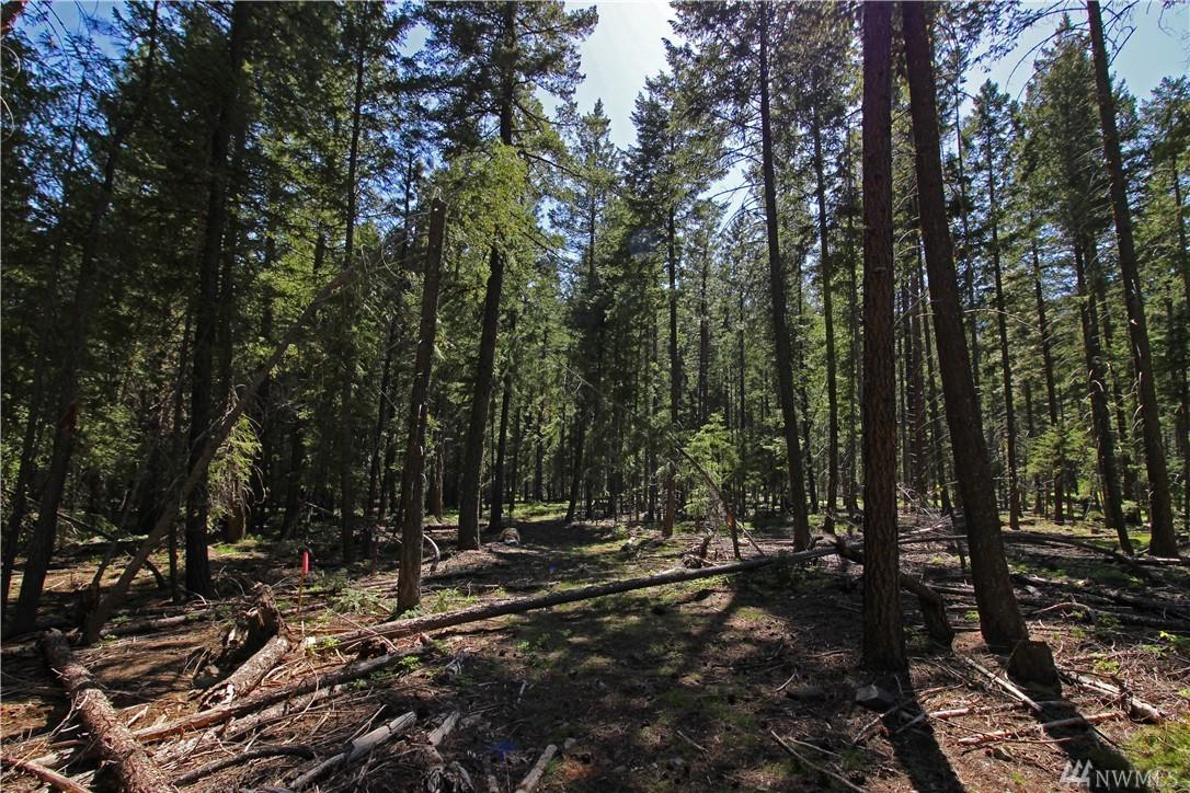 0 Davelaar Dr - Photo 1