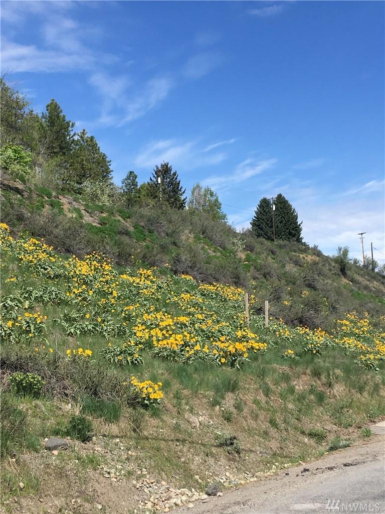 0 Highway 20 - Photo 1