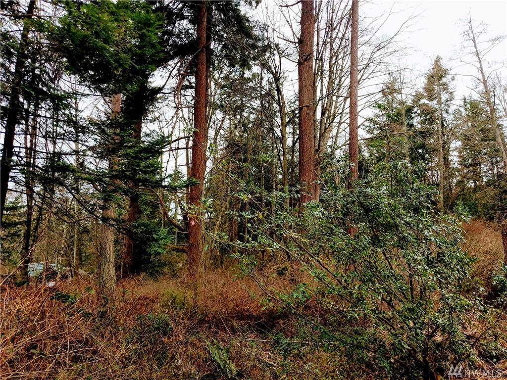 0 Samish St - Photo 1