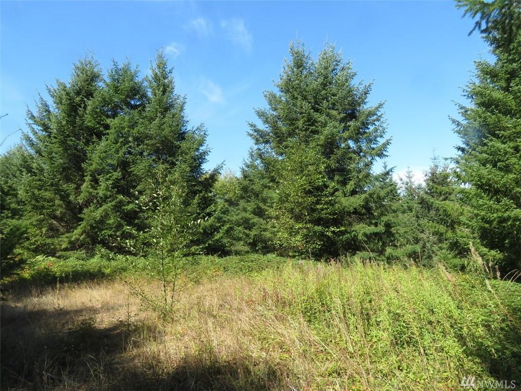 131 Kiowa Dr - Photo 1