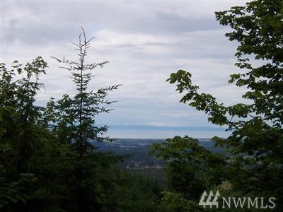 9999 Himlen Rd - Photo 1