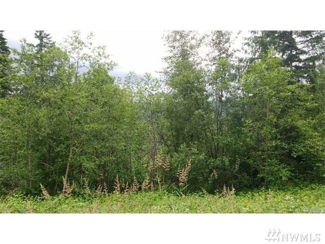 0 Xxx Ivy Lane - Photo 1