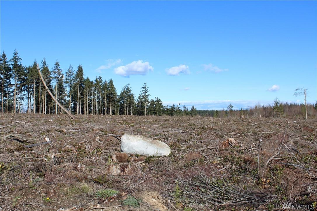0 Swantown Rd - Photo 1