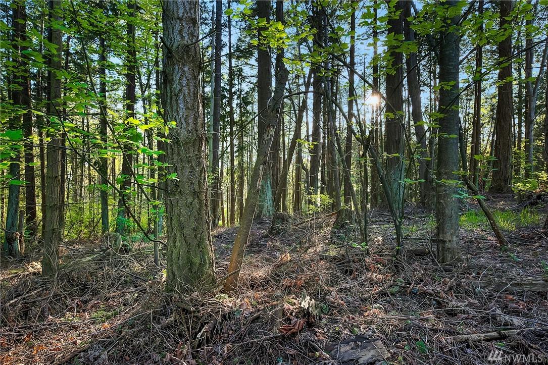 0 Lot 90 Eliza Island - Photo 1