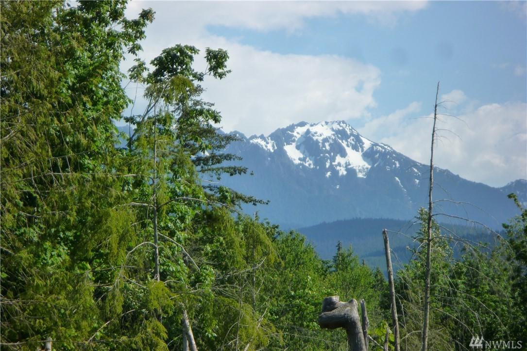 9999 Lower Elwha Rd - Photo 1