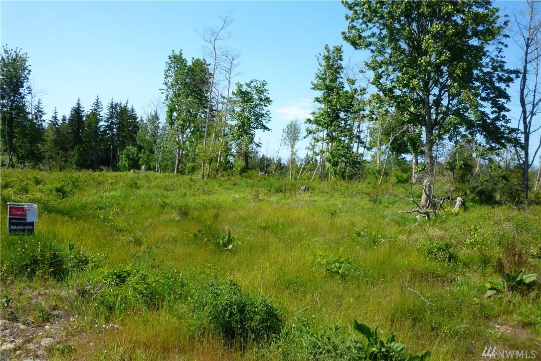 9999 Lower Elwha Rd - Photo 1
