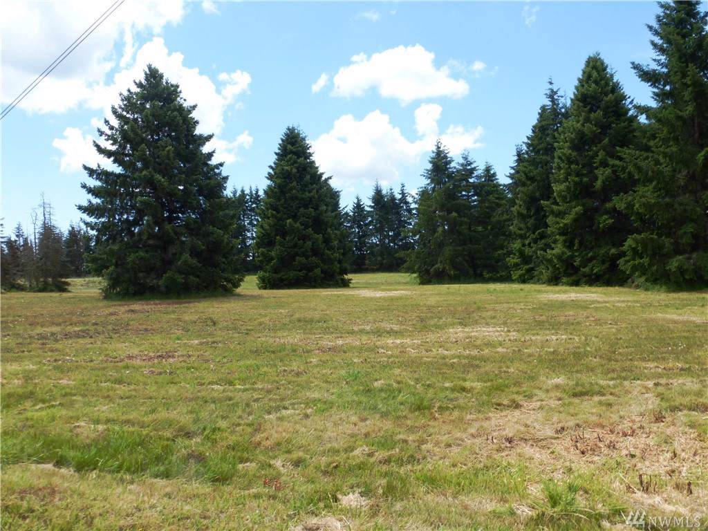 0-Lot 4 Noble Fir Lane - Photo 1