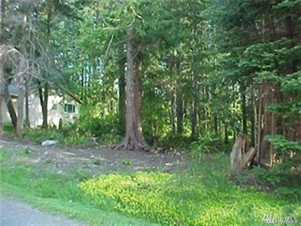 356 Stillaguamish Place - Photo 1