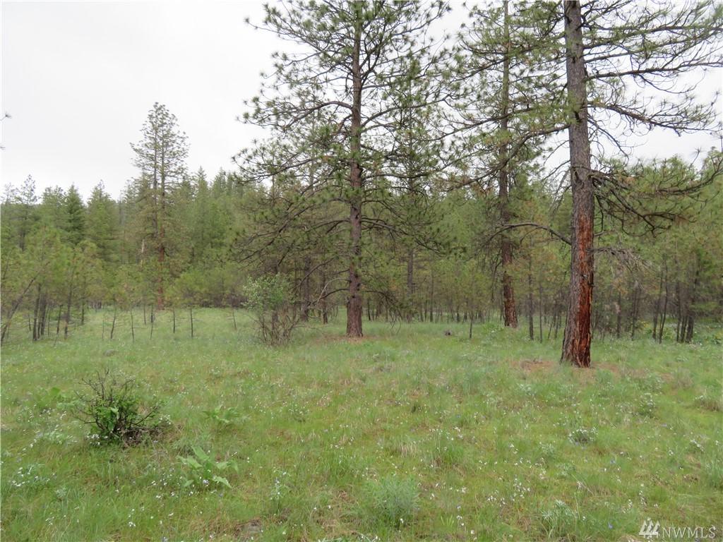 0-TBD San Poil Rd - Photo 1