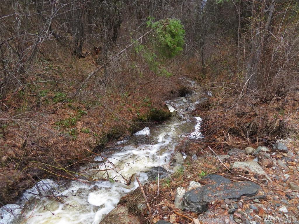 0-TBD Willys Gulch Rd - Photo 1