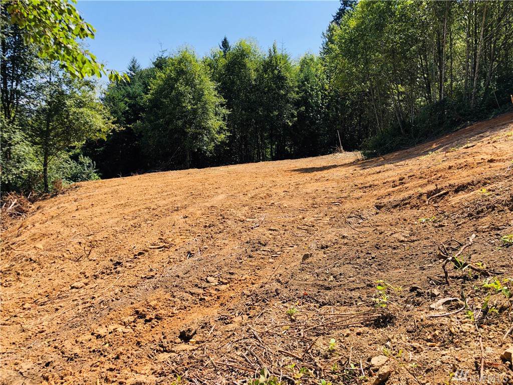 265 Trout Lakes Rd - Photo 1